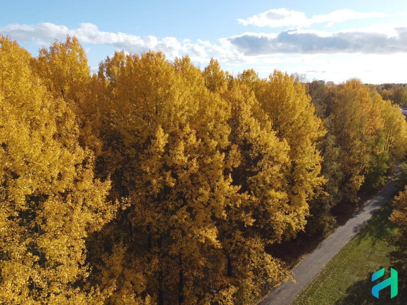 Autumn colours in Malminkartano Helsinki